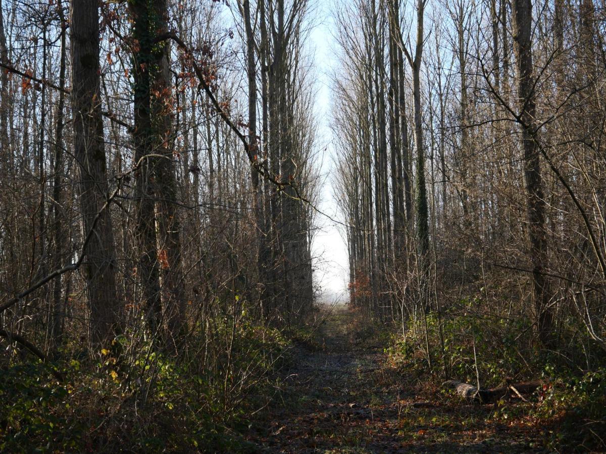 La Du Chasseur