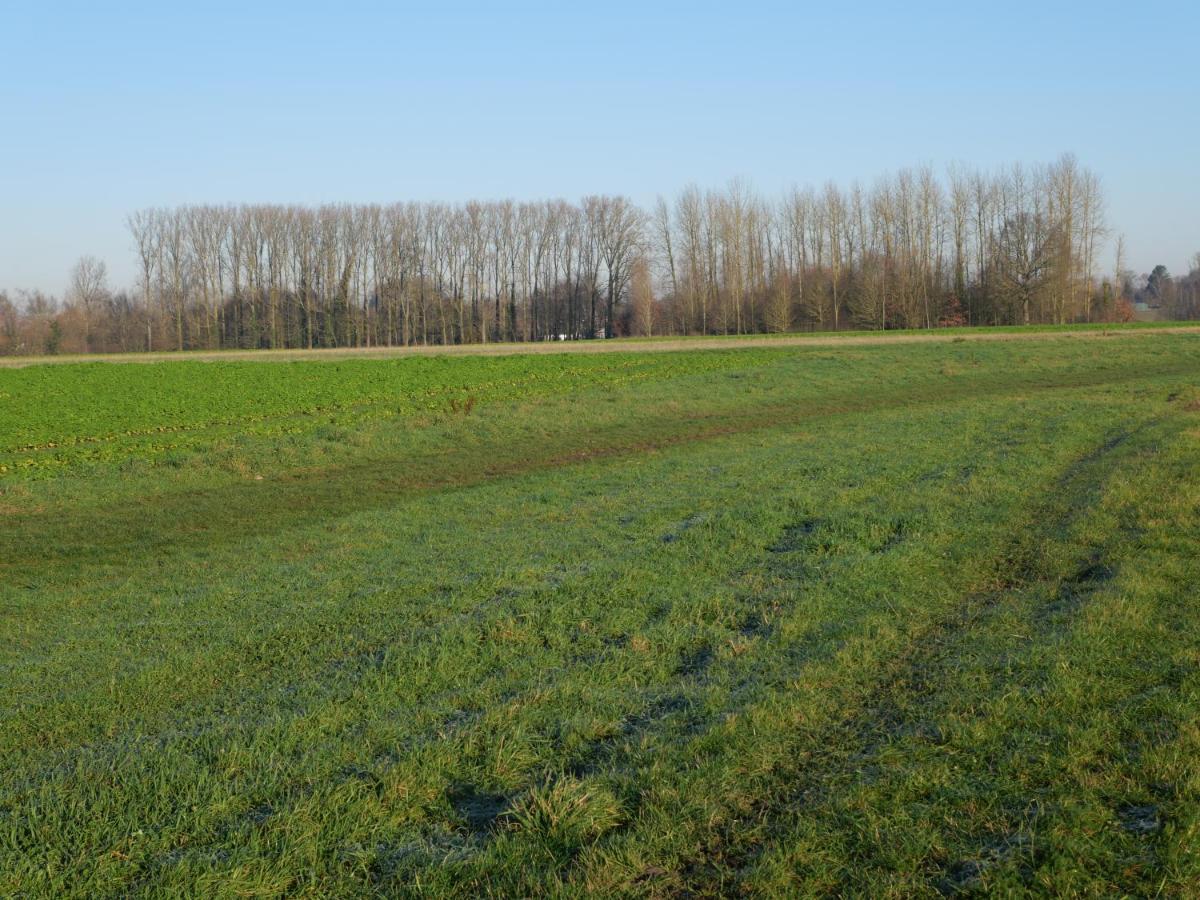 La Du Chasseur Hébergement de vacances Flines-Les-Mortagne